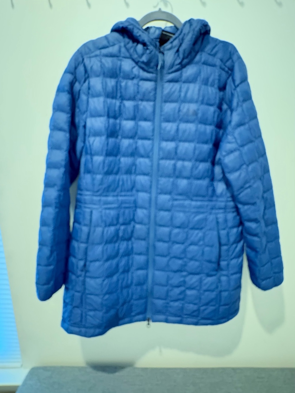 The North Face Women's Thermoball Hooded Puffer Jacket in Blue